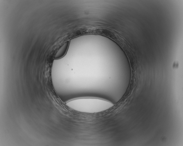 X0000113290914200909141001