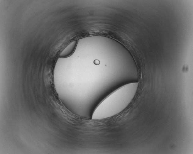 X0000113290915200909141001