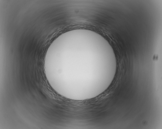 X0000113290916200909141001