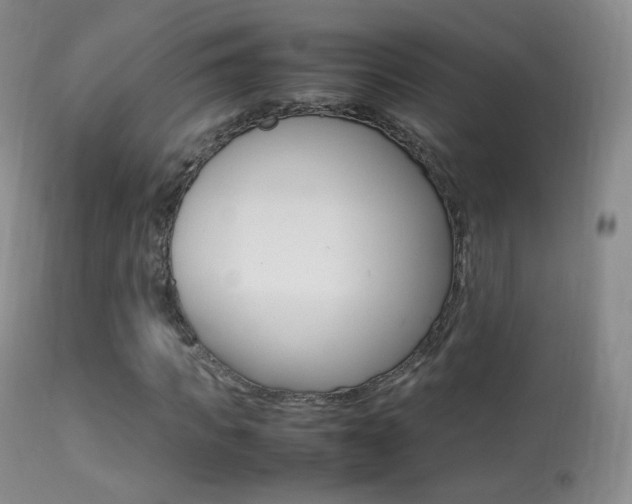 X0000113290917200909141001