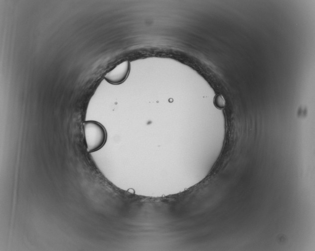 X0000113290918200909141001