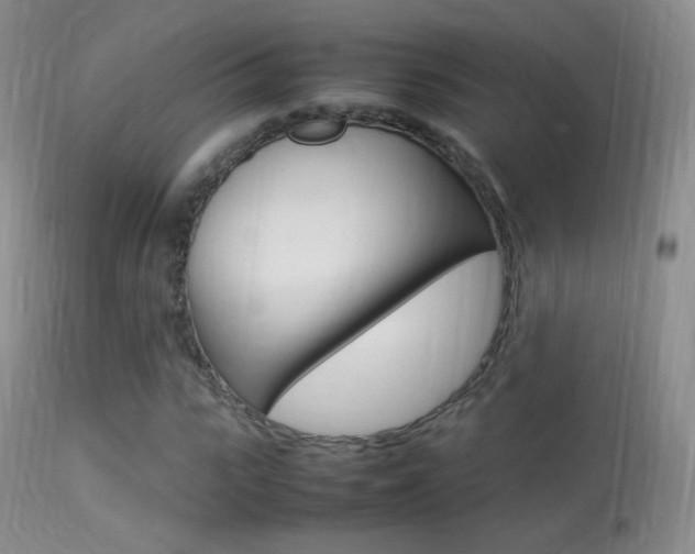 X0000113290919200909141001