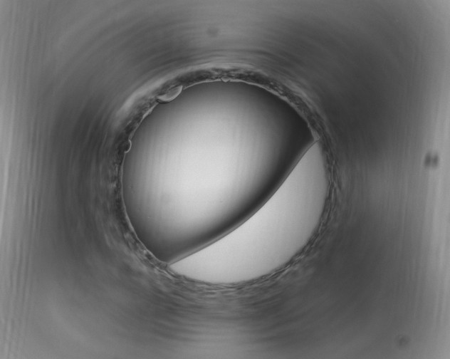 X0000113290920200909141001