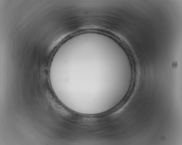 X0000113290921200909141001