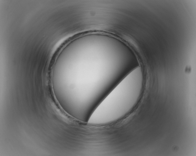 X0000113290924200909141001