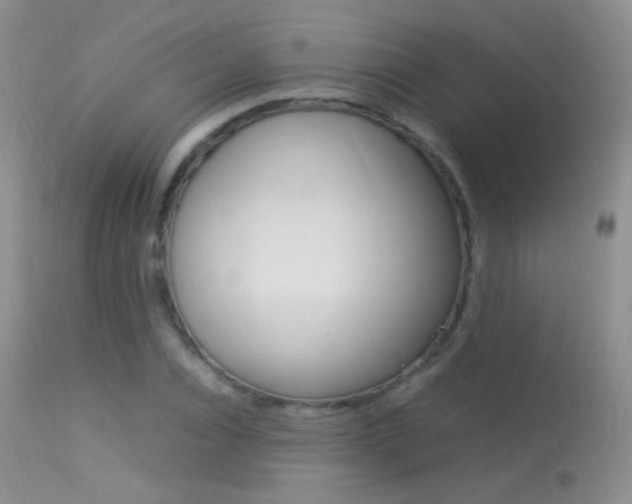 X0000113290928200909141001