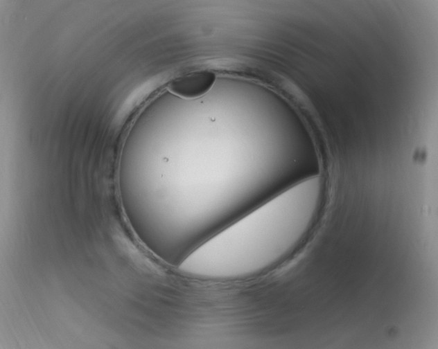 X0000113290930200909141001