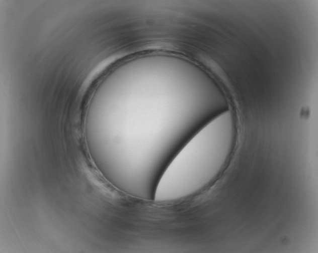 X0000113290931200909141001