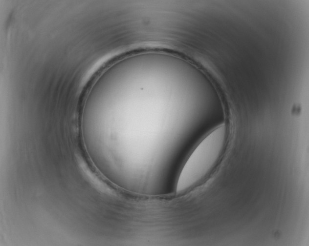 X0000113290934200909141001