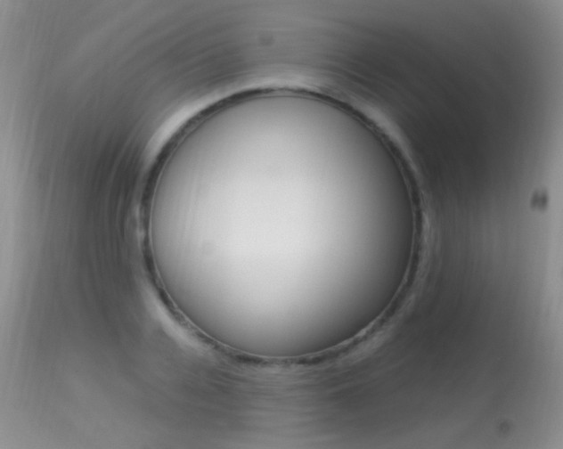 X0000113290936200909141001