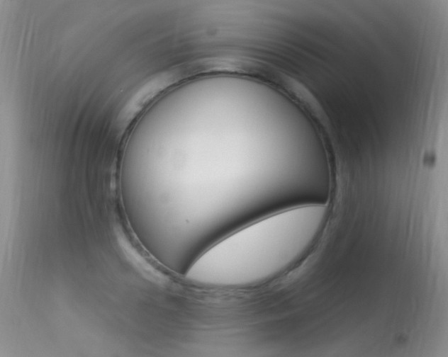 X0000113290938200909141001
