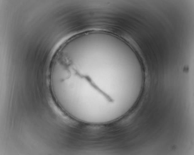 X0000113290939200909141001