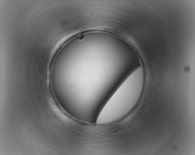 X0000113290940200909141001