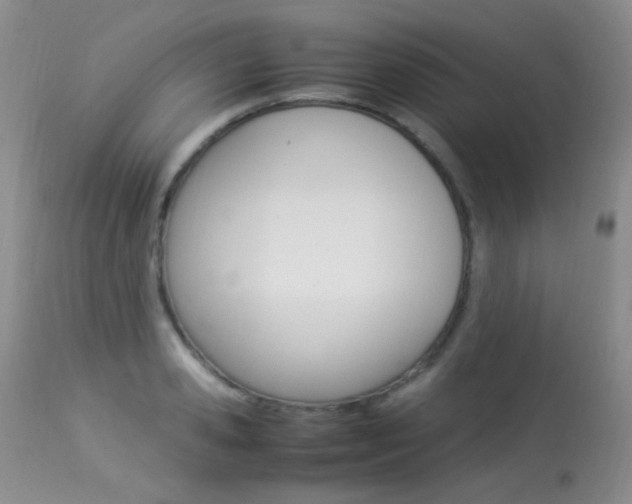 X0000113290941200909141001
