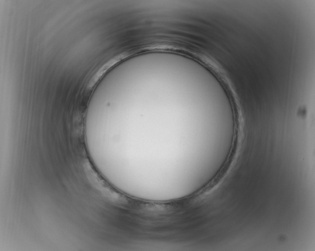 X0000113290945200909141002