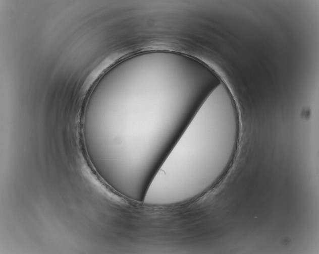 X0000113290949200909141002