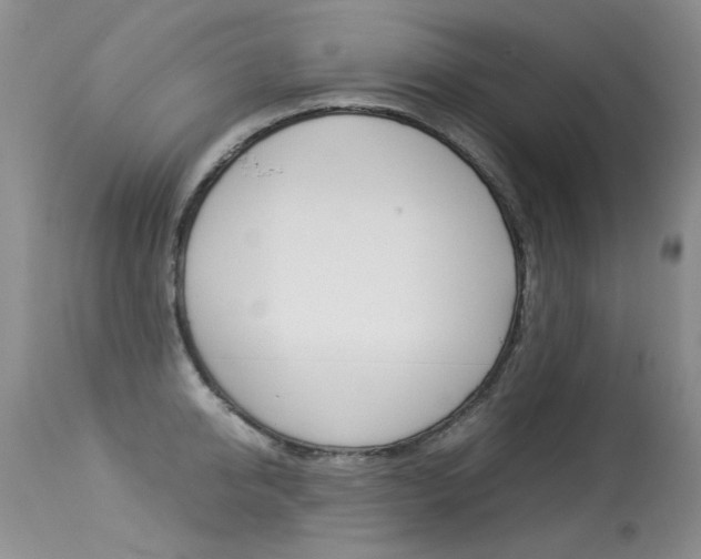 X0000113290950200909141002