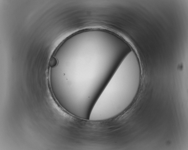 X0000113290951200909141002