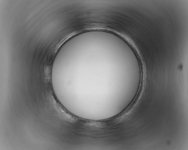 X0000113290953200909141002