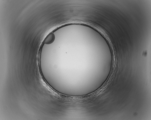 X0000113290958200909141002