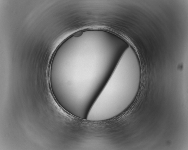 X0000113290959200909141002