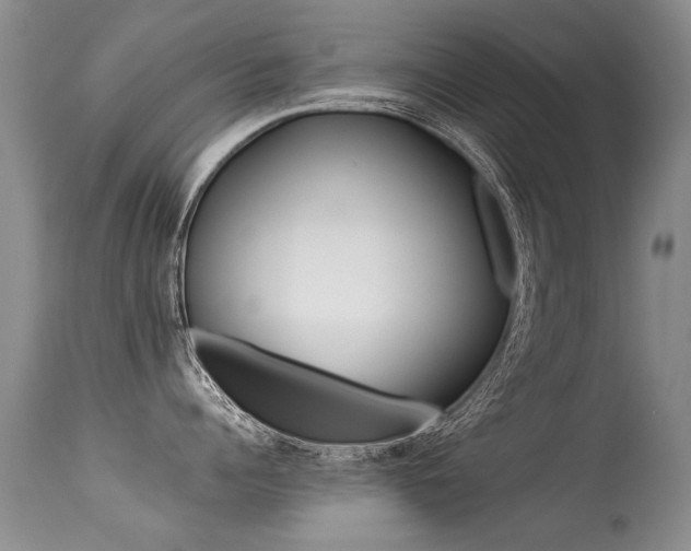 X0000113290960200909141002
