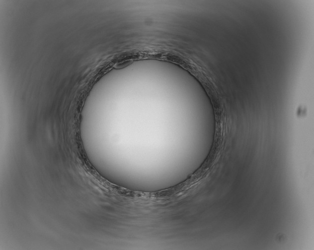 X0000113290961200909141001