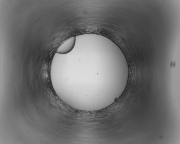 X0000113290962200909141001