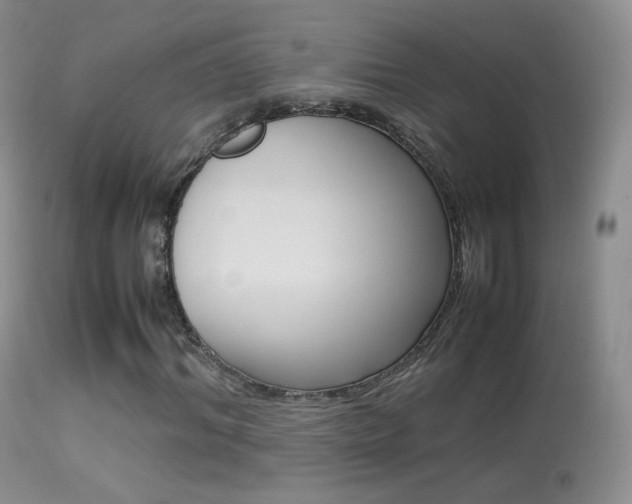 X0000113290964200909141001