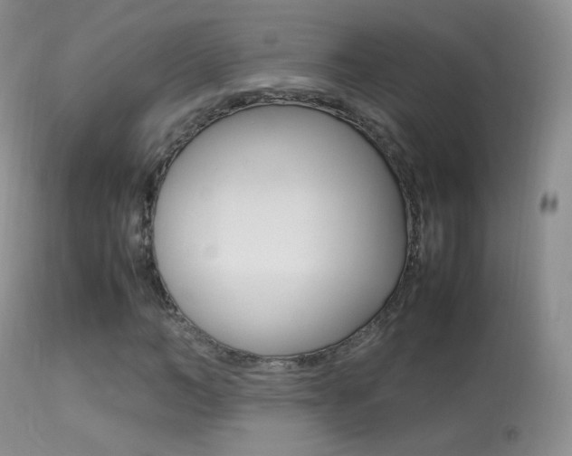 X0000113290966200909141001