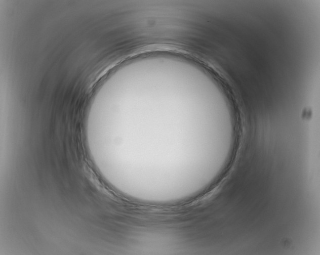 X0000113290969200909141001