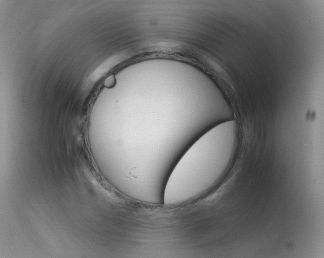 X0000113290970200909141001