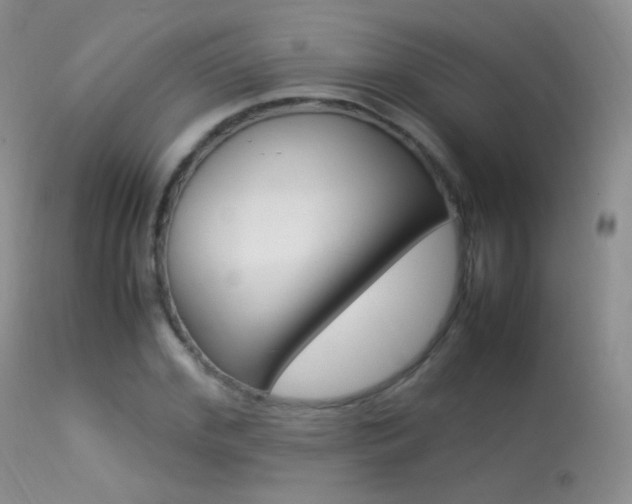 X0000113290972200909141001