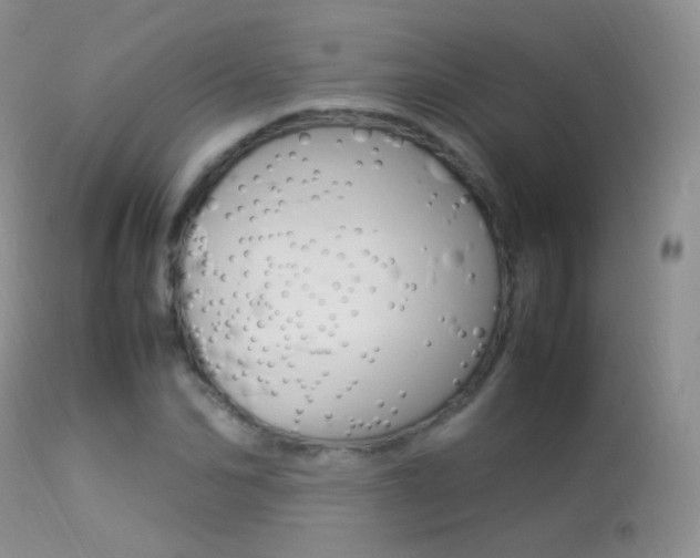 X0000113290974200909141001