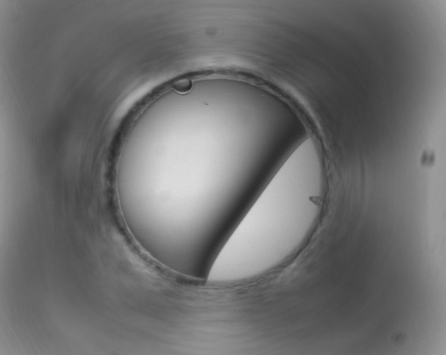X0000113290975200909141001