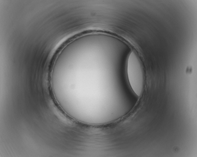 X0000113290976200909141001
