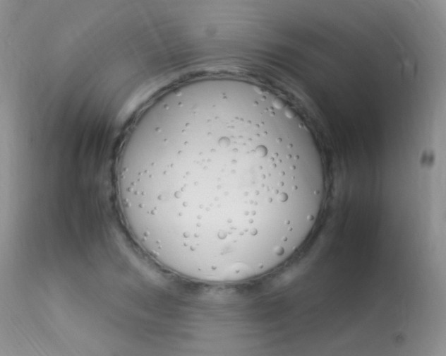 X0000113290978200909141001