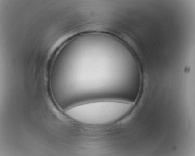 X0000113290981200909141001
