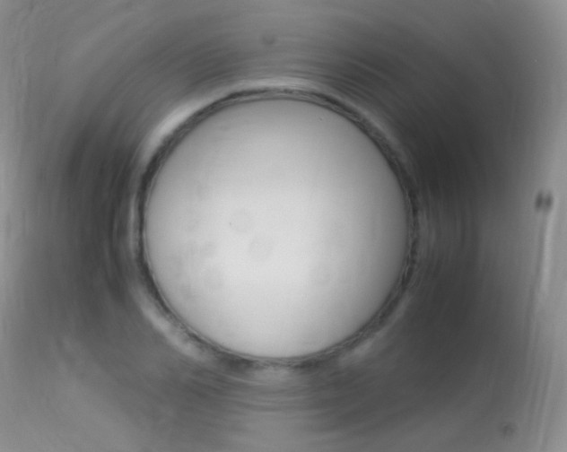 X0000113290982200909141001