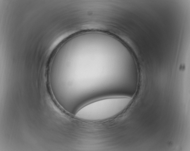 X0000113290983200909141001