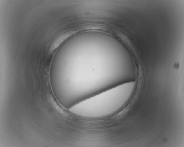 X0000113290985200909141001