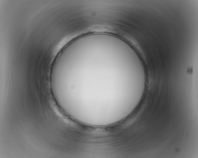 X0000113290986200909141001