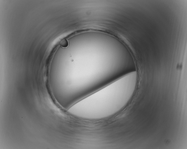 X0000113290987200909141001