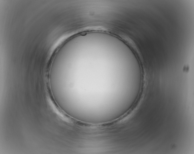 X0000113290989200909141000