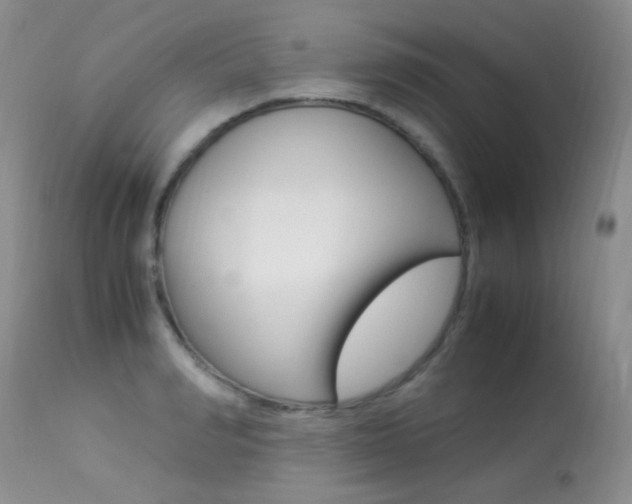 X0000113290990200909141000
