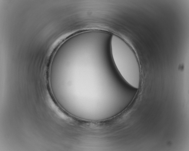 X0000113290995200909141000