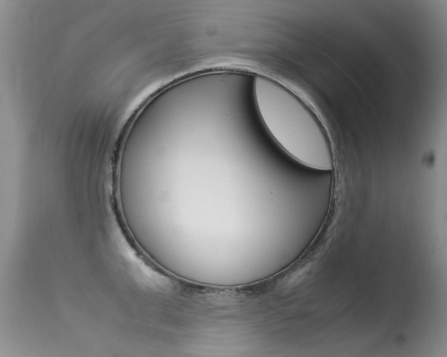 X0000113290999200909141000