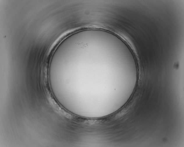 X0000113291000200909141000