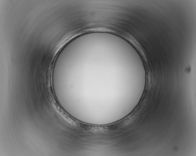 X0000113291002200909141000