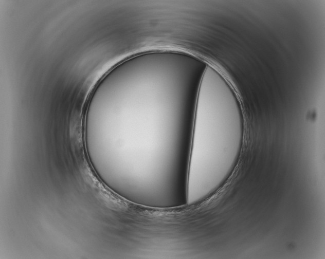 X0000113291004200909141000